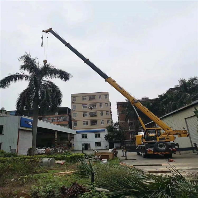 钟山吊车吊大树几种方法